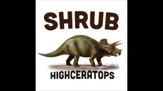 Shrub - I Dub It For Us (Dubmatix Remix)