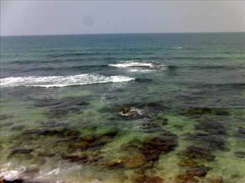 timmy vegas and bad lay dee another dimension mp3