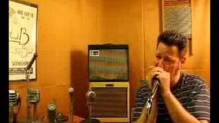 Video thumbnail for ElectroVoice EV 665 Stock Hog Harp Mic by GoldenBug