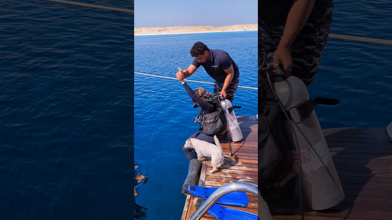 Превью: Дизель — наш талисман