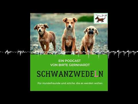 63 Bleibt gesund: Blutbild beim Hund - Schwanzwedeln