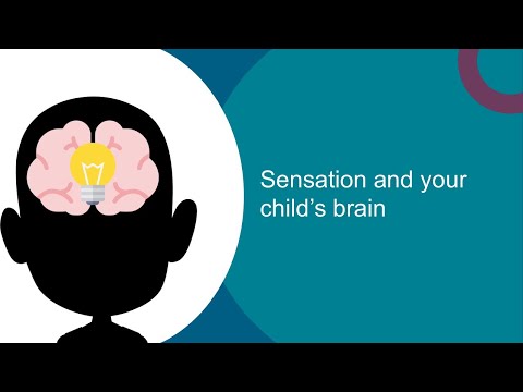 Sensory processing in children (2/6): Sensation and your child's brain