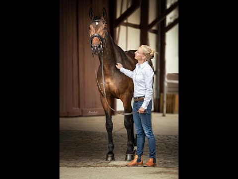 Kara Kyan von Kentucky / Distelzar geb. 2013