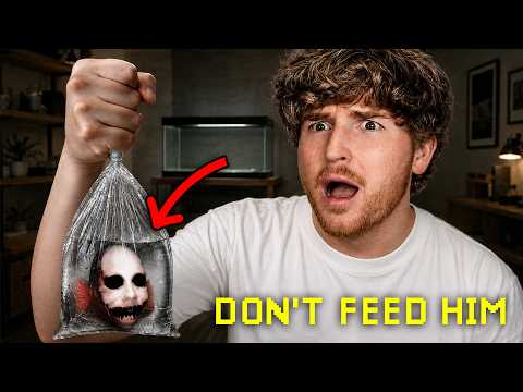 Feed The Fish Full Game