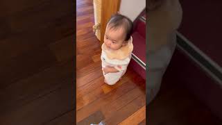 「ヘビがいる！」と呼ばれて行ったら…  #子育て #親子 #Shorts #親子の日常 #可愛い嘘　#育児あるある #日本の子育て#babyshorts