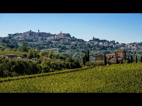 La storia della denominazione "Vino Nobile di Montepulciano" - Seminario didattico Fisar