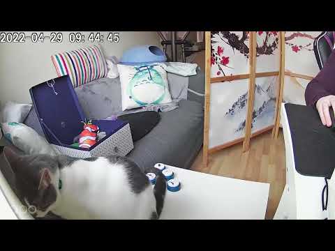 Love you! Sabriel was finally caught speaking on camera!