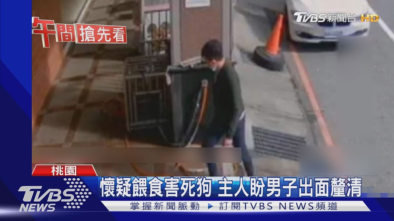 誰餵的?男疑餵骨頭、菜 主人懷疑害死法鬥