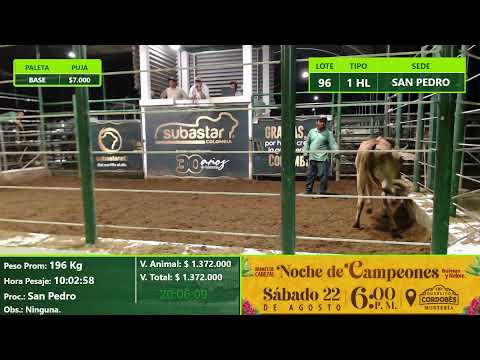 Subasta Virtual - Presencial San Pedro (E33) 19/08/2026