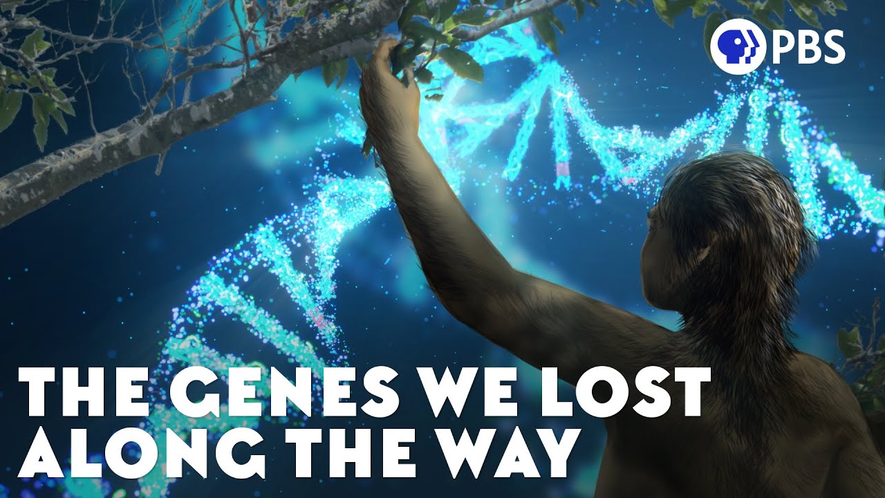 The Genes We Lost Along the Way
