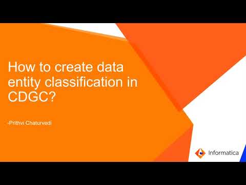 Data Entity Classification