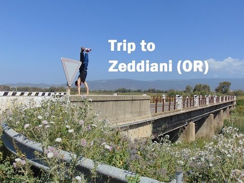 PARKOUR AND FREERUNNING TRIP TO ZEDDIANI (OR) HD 2016
