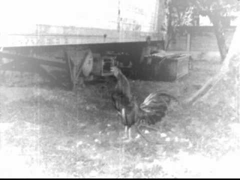 Dkano - Maria (Mi Musica)