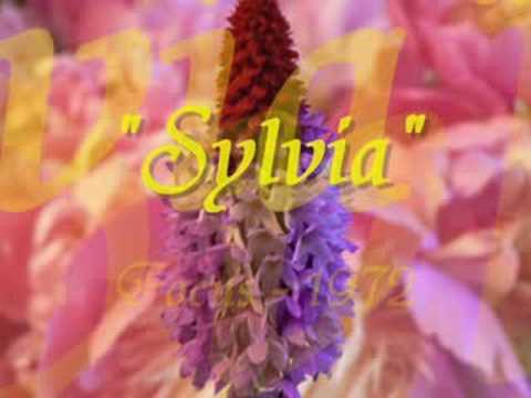 Sylvia - Focus - 1972 - Thijs van Leer - Keyboard Cover - Silvia video thumbnail