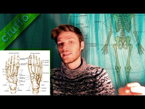 Segni di ernia discale del rachide cervicale Ð ± оР»DN, B» ÐμÐ²Ñ <й Ð ± Ñ Ð¾Ðº Ð¿Ð¸Ð½Ñ <нР° Ð¿Ð¾Ñ Ð½Ð¸Ñ Ñ † df