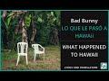 Bad Bunny - LO QUE LE PASÓ A HAWAii Lyrics English Translation - Spanish and English Dual Lyrics