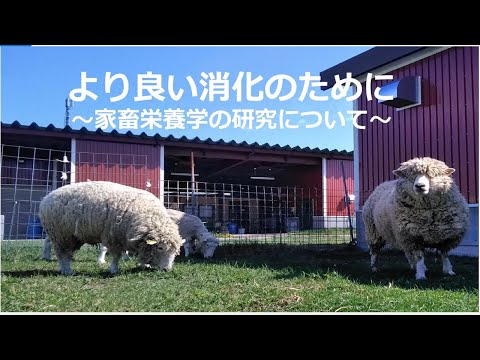 畜大生によるミニミニ講演会「より良い消化のために ～家畜栄養学の研究について～」