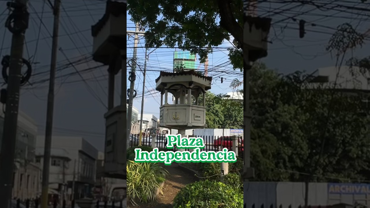 YouTube Short thumbnail