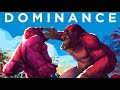 The Dominance Hierarchy - Explained