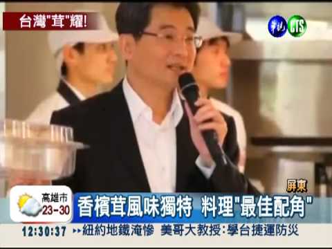 比香菇大10倍! 香檳茸1公斤4千