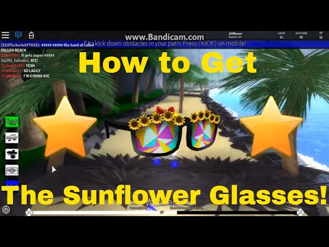 How To Get The Sunflower Sunglasses Summer Tournament 2018 Roblox - how to get the sunflower sunglasses roblox summer tournament event 2018 the doom wall 2 burst