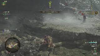 モンハンワイルズのんびり狩り