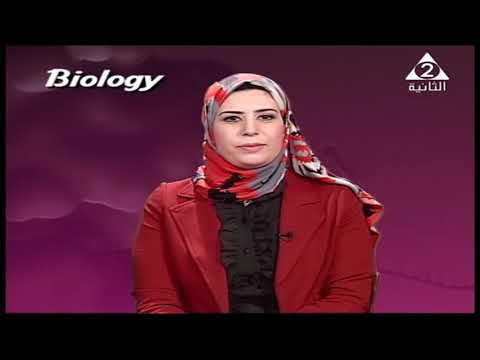 أحياء لغات 3 ثانوي ( Molecular Biology )  أ نجوان محمد 30-04-2019