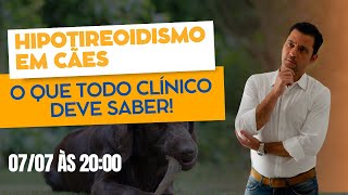 Hipotireoidismo em cães: o que todo clínico deve saber