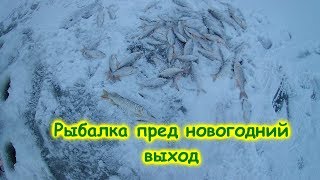 Рыбалка на озере ильмень зима