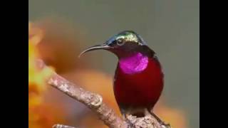 Nessa vida e cheio de altos e baixo.