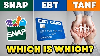 SNAP vs TANF vs EBT — The REAL Differences You Need to Know