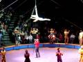 Ringling Brothers Boom A Ring Circus046 MOV