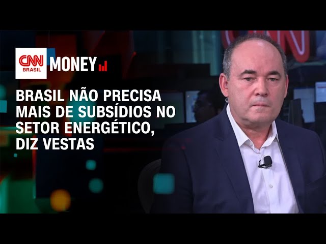 Brasil não precisa mais de subsídios no setor energético, diz Vestas | Money News
