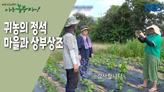 [홍고추 농장의 굳세어라 영란 씨!] 귀농의 정석, 마을과 상부상조