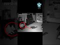 Cat Saw Real Ghost With The Animal Power #shorts #ghost #creepy #cats