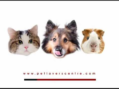 Pet Lovers Centre