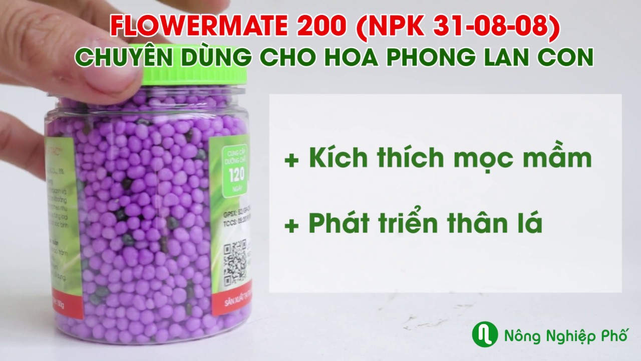 Combo Bộ 3 Phân Tan Chậm Có Kiểm Soát Rynan Chuyên Dùng Cho Lan