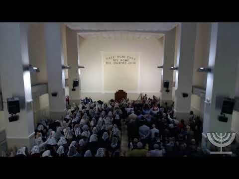 2019-10-06 Domenica Mattina - Fr Gemelli - Fr Mondello - Romani cap 8 verso 28