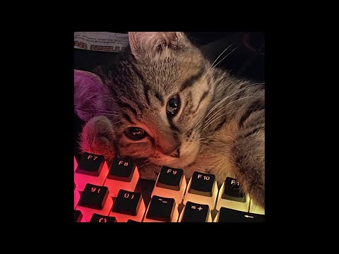 *Free for profit* Hyperpop x Sqwore x  LXNER type beat - "piyavka" (Prod. Anonimoch )