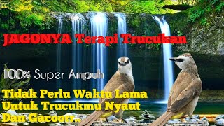 Download lagu TERAPI TRUCUKAN SUPER CEPAT ROPEL, DENGAN PANCINGAN TERAPI RELAKSASI SUARA ALAM AIR MENGALIR AMPUH. mp3