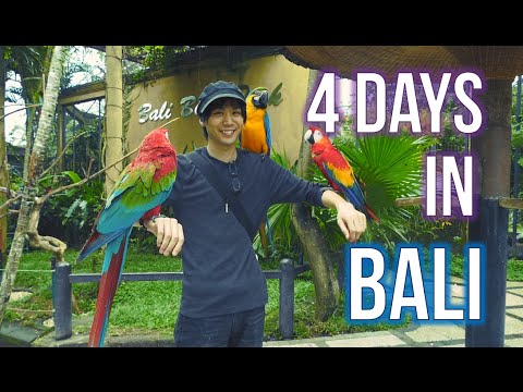 バリ島旅行を満喫しました (Our trip to Bali!)