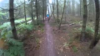 preview picture of video '14 09 19 Cannock Chase'
