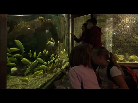 Gradina Botanica din Jibou. Partea 1