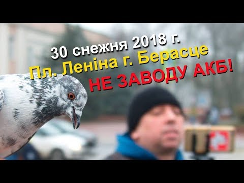 Предновогодний Стрим