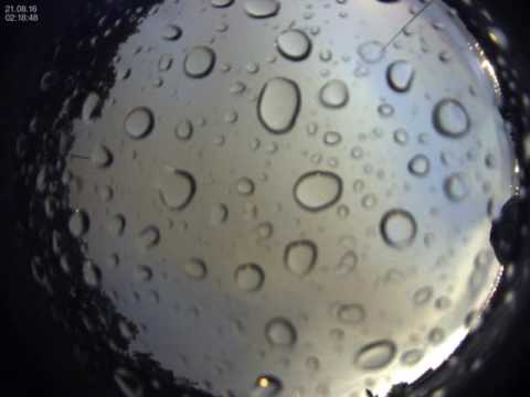 Nacht vom Samstag 20.08.2016 zum Sonntag 21.08.2016