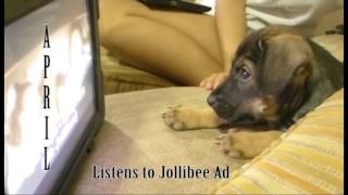 Dog listening to Jollibee Ad... Wants to hear it again