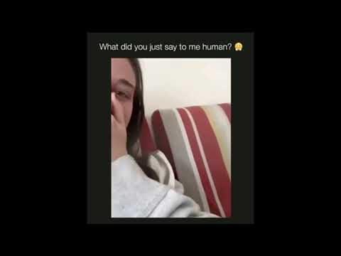 Animals Being Jerks | #shorts | r/animalsbeingjerks