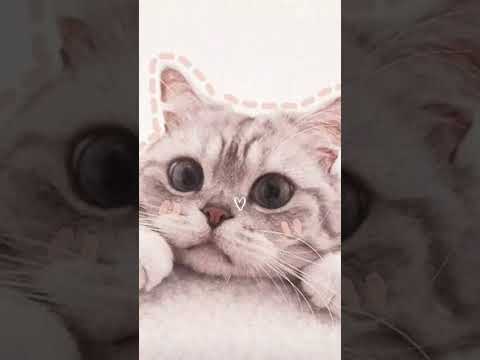 hai korang comel tak saye buat nii