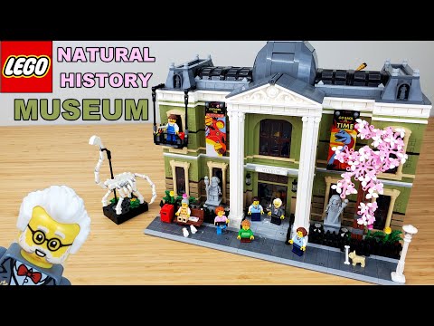 Natural History Museum #10326 | Review & Placement