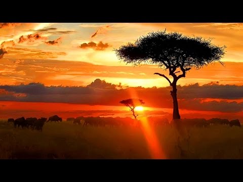 Rikkaz - Serengeti (Original Mix)